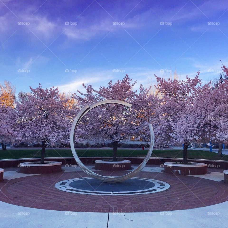 Spring at BSU