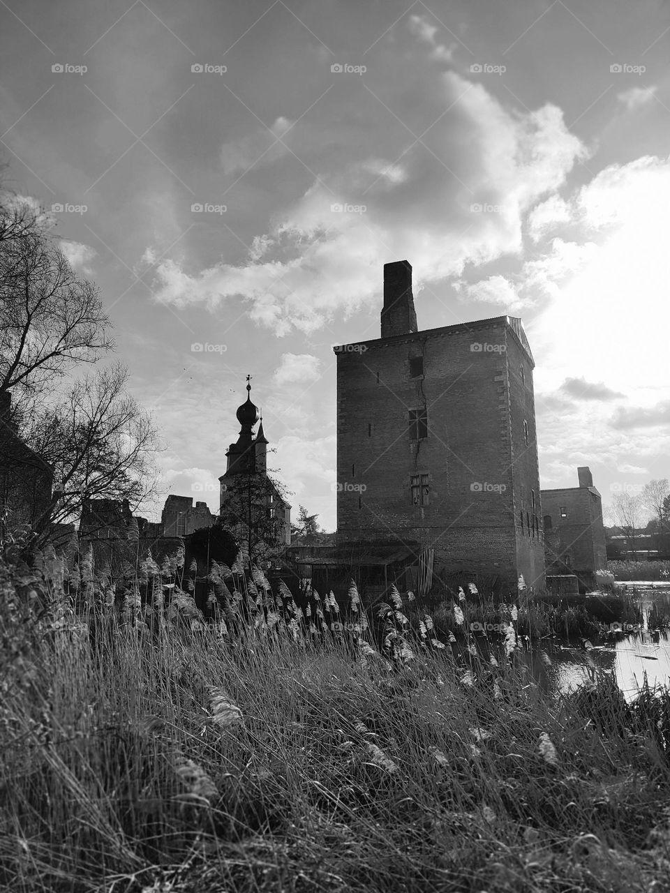 Visit of the castle of Havré, Hainaut