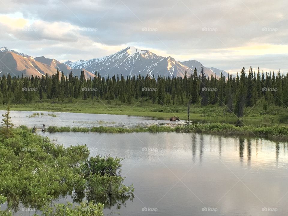 View of idyllic lake