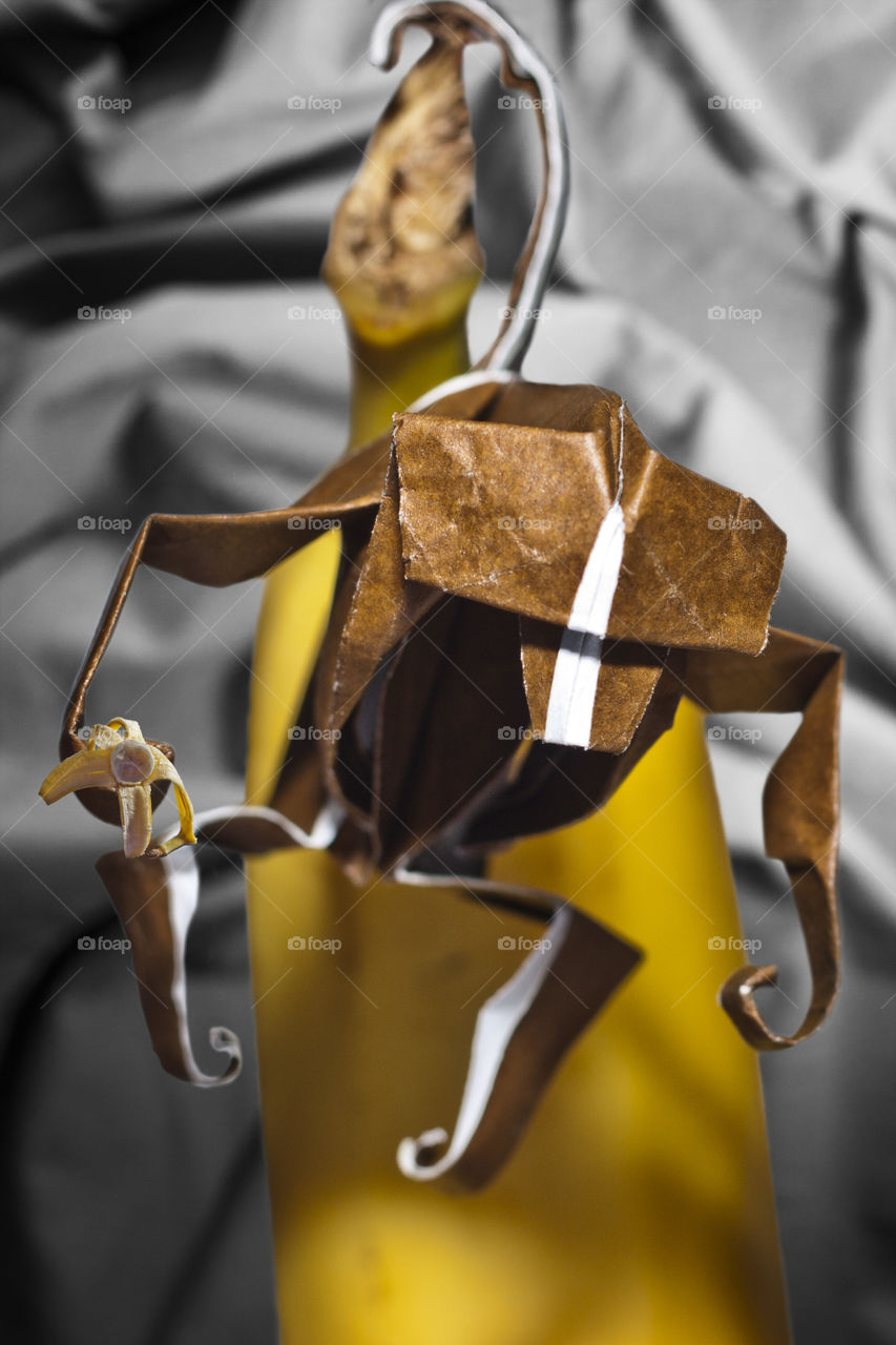 I've recently started combining my photographic skills with my love of origami.