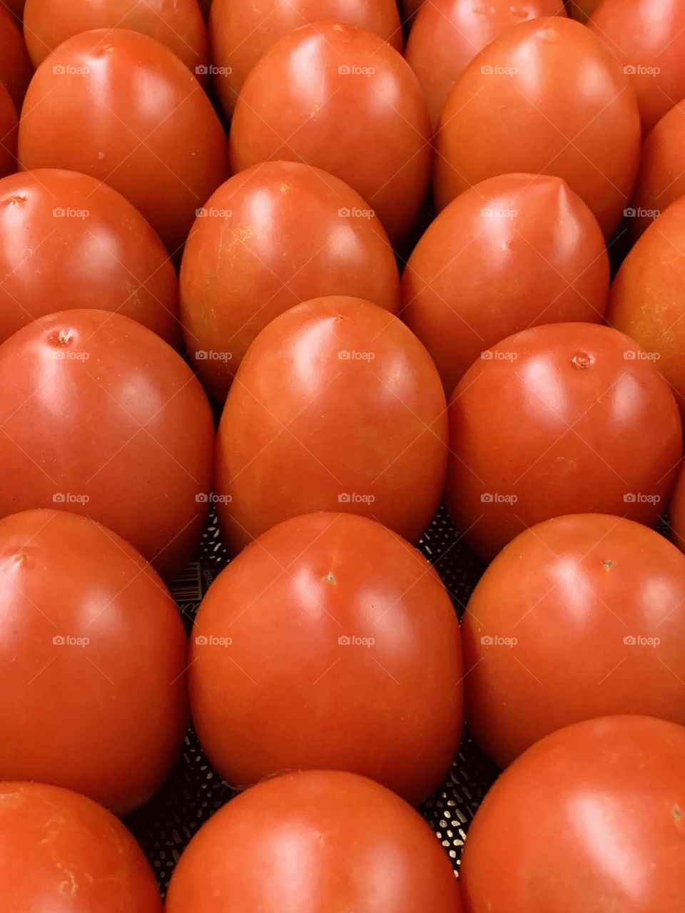 Tomatoes 