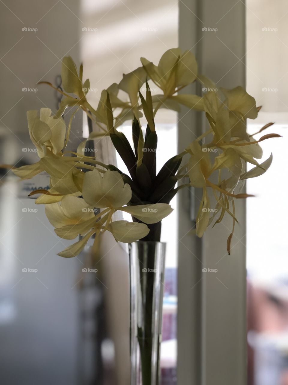 White ginger flower in a vase 