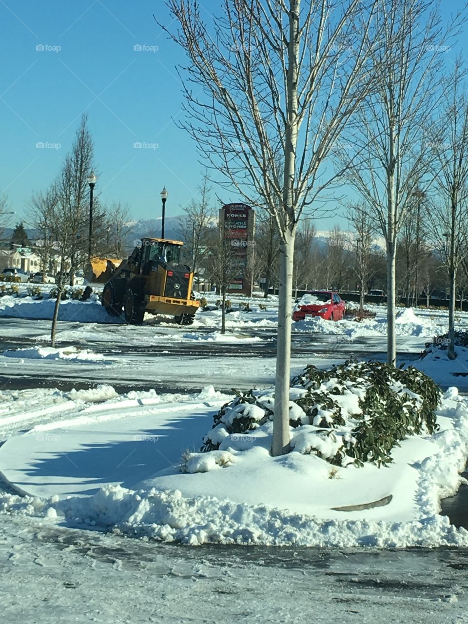 Winter storm aftermath 