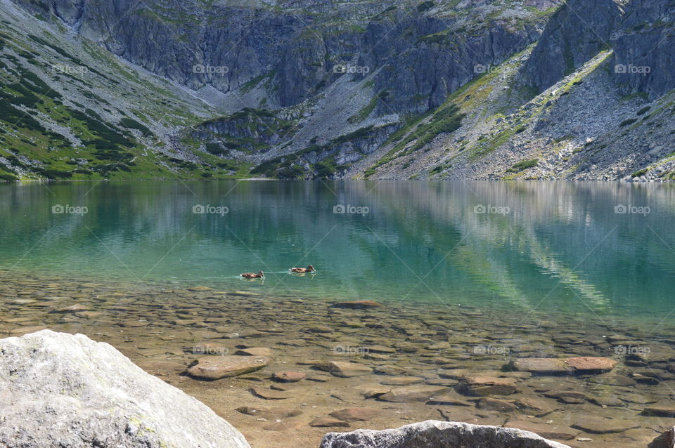 Hala Gąsienicowa  -Tatra Mountains .  Zakopane, Poland