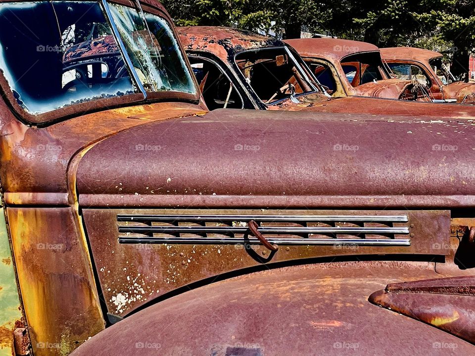 Graveyard of Rust.  A line of abandoned autos becomes a permanent monument to a bygone era.