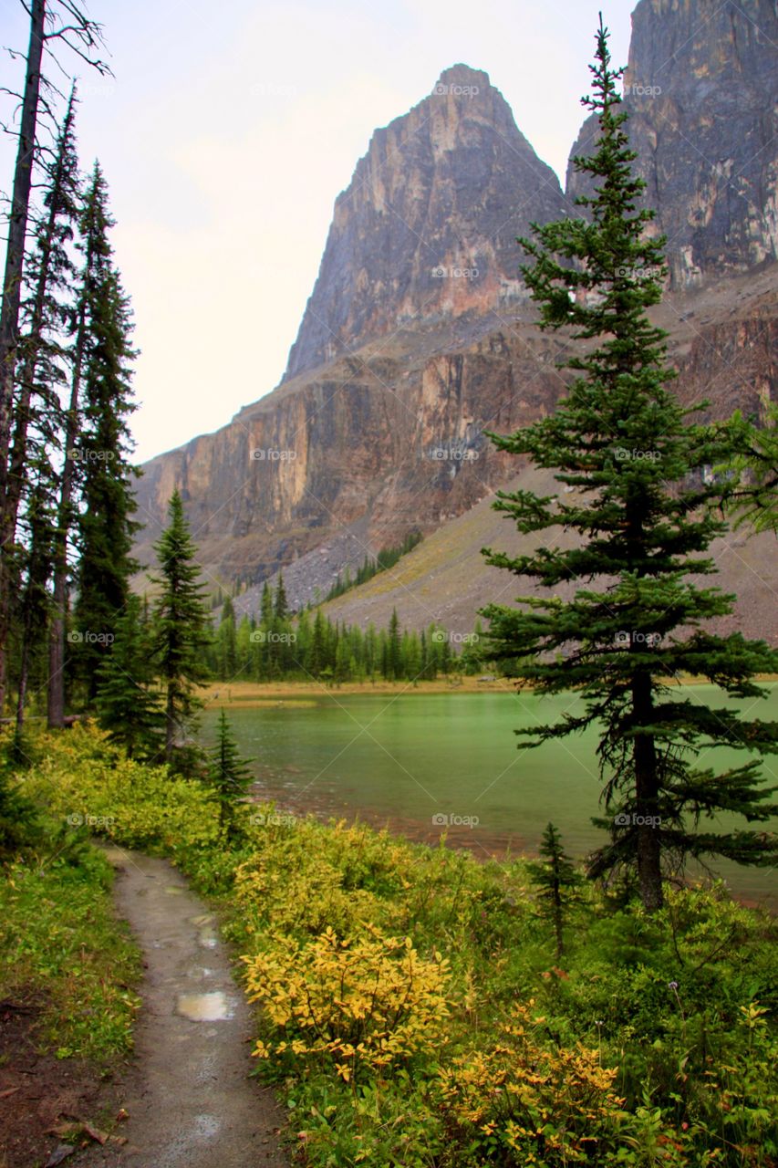 Hiking in the rain in Banff National Park