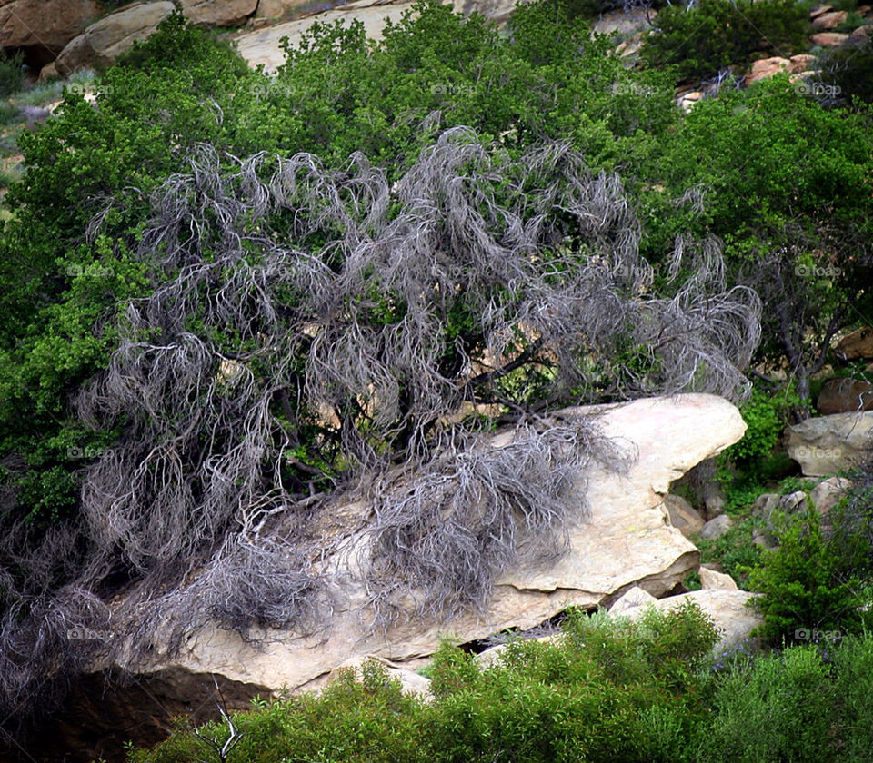 landscape sky green nature by hlehnerer