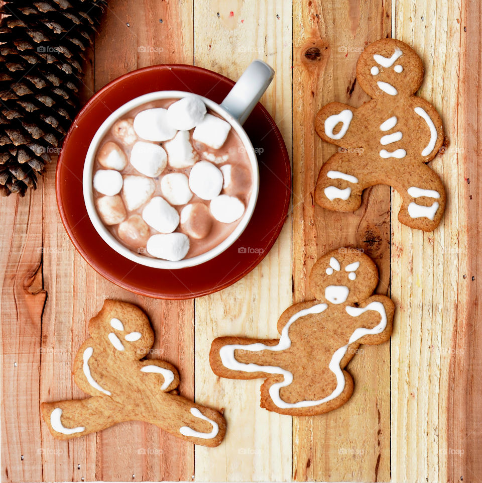 Hot chocolate with pine cone and gingerbread cookie