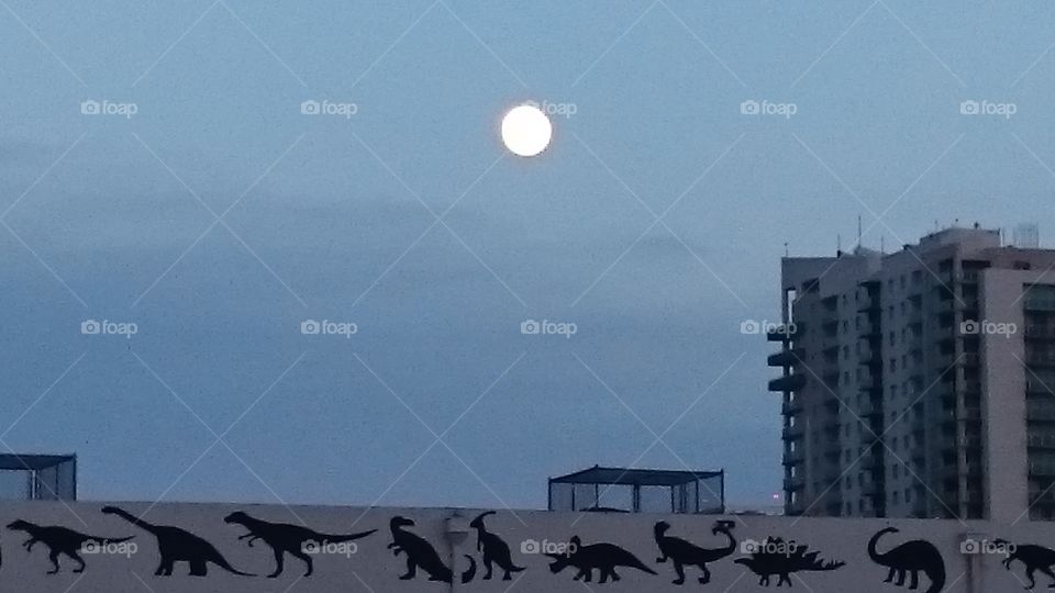 full moon in Wynwood