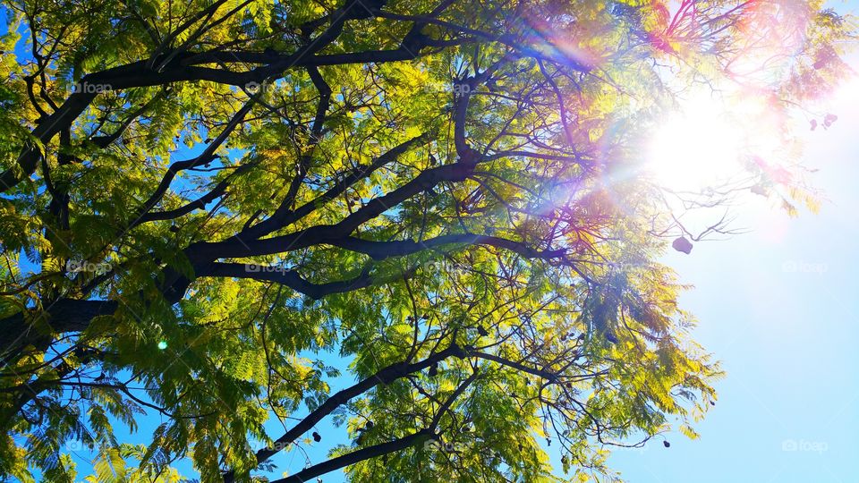 Spring is Almost Here