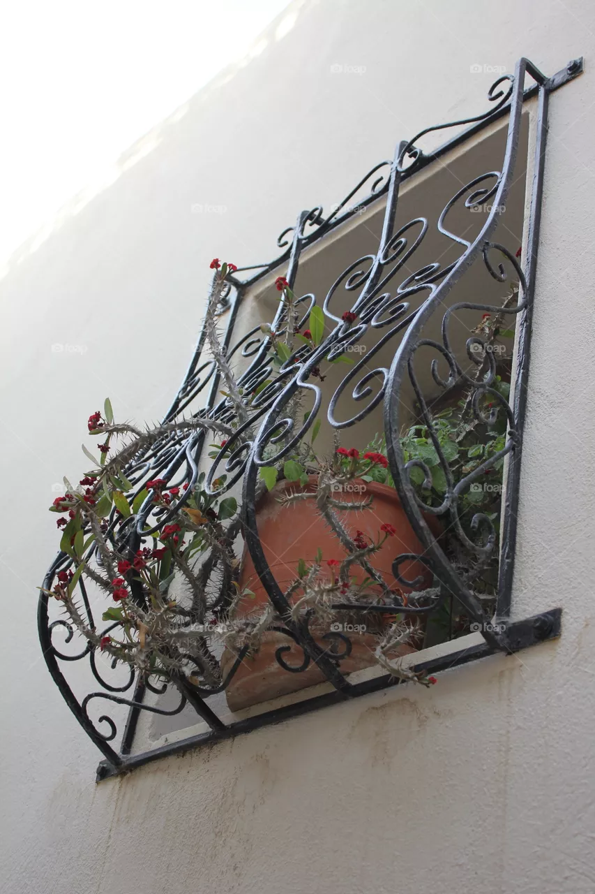 window