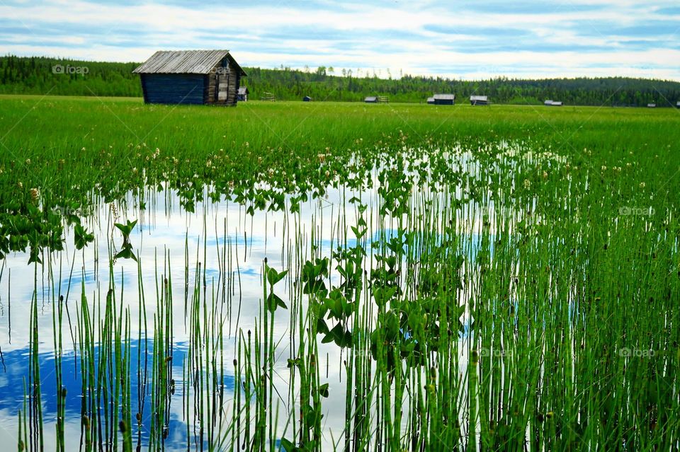 Swedish  lappland  water  Swamp  land 