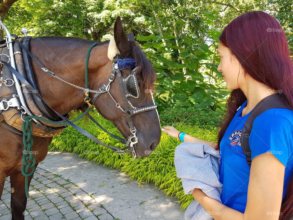 Girl and Yorkshire horse