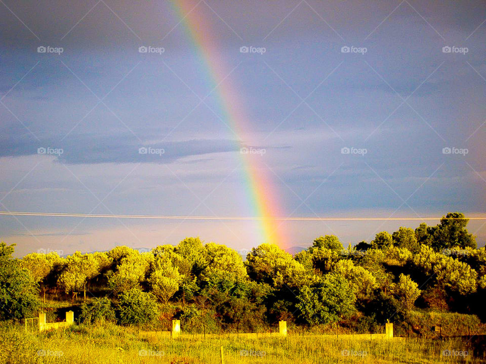 In search of the pot of gold