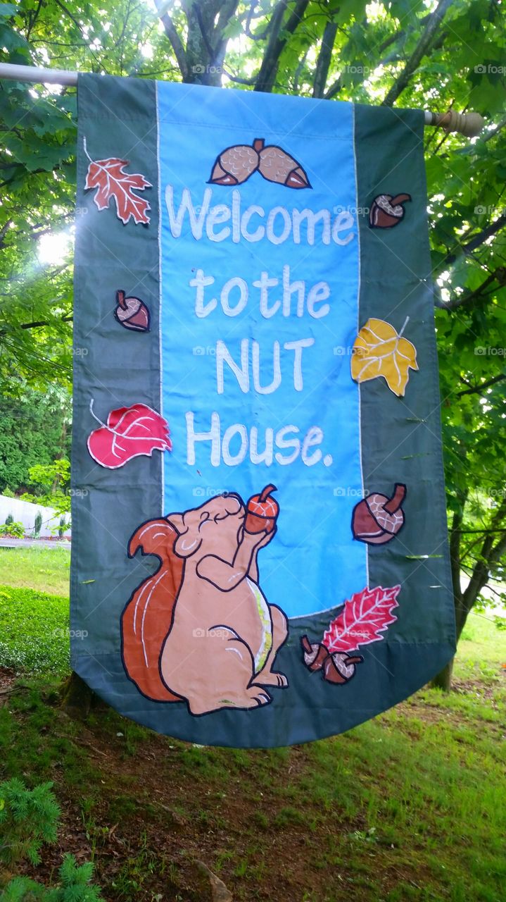 Welcome to the Nut House