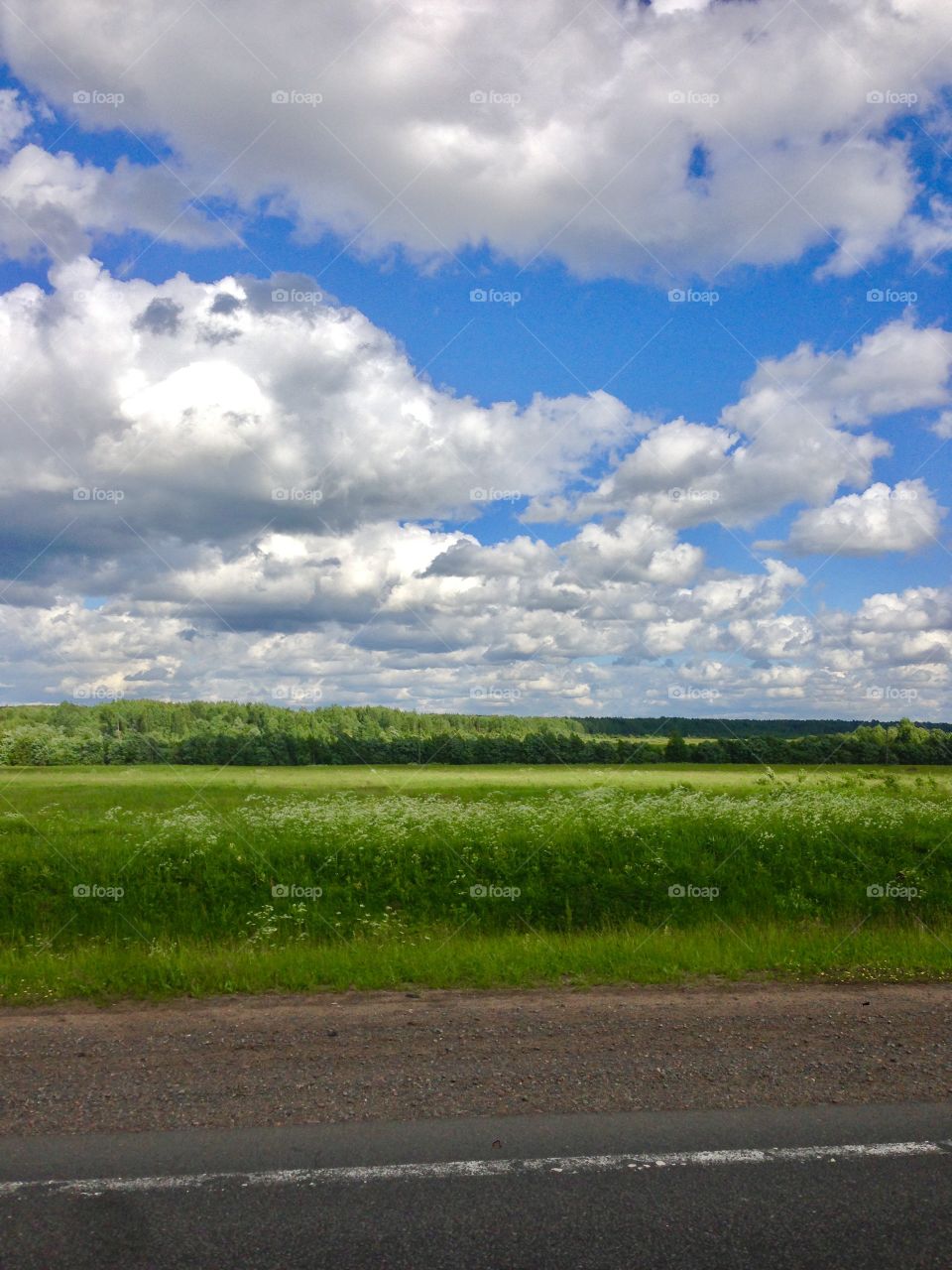 Green land against cloudy sky