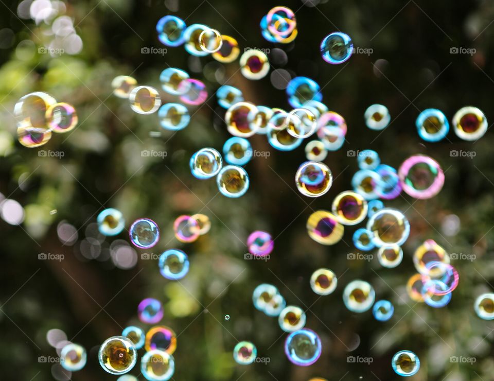 Bubbles 