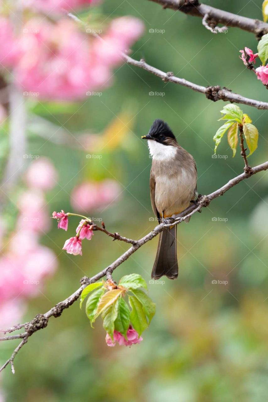 Something good happens