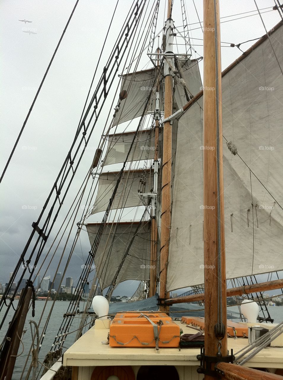 Sailing on Sydney harbour 