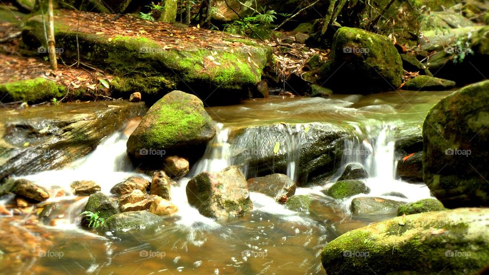 Flowing water rain forest. Flowing water in motion at a rain forest