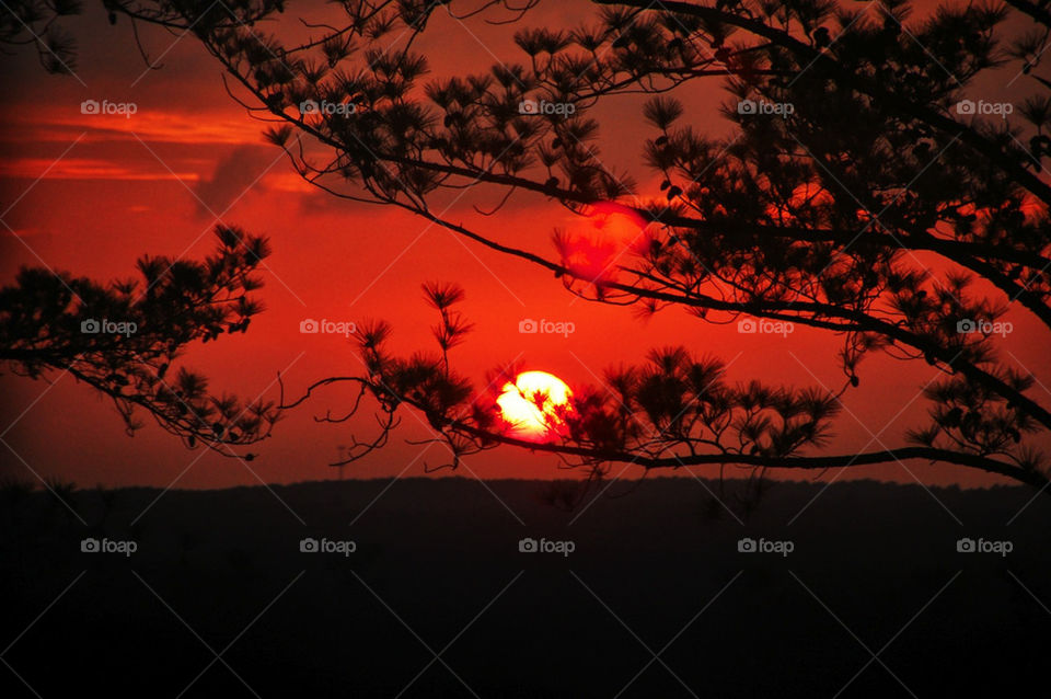 nature red sunset shadow by da123nce