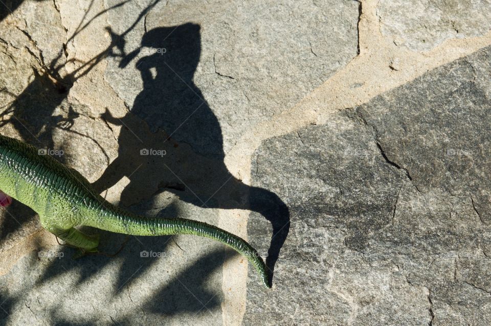 Dinosaur Shadow