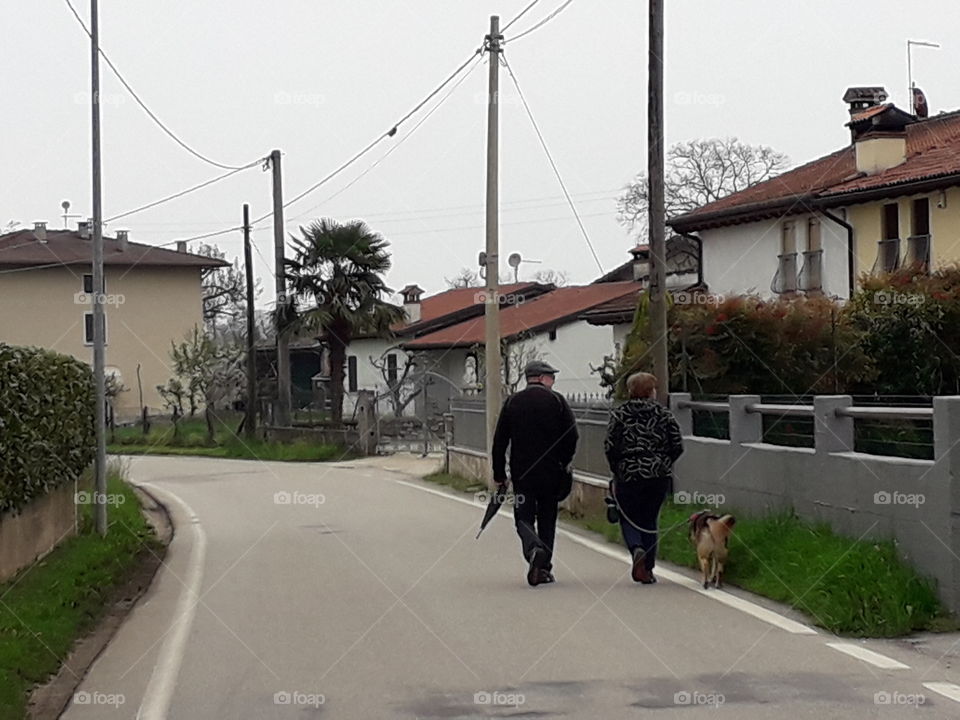 Spring walk with the dog