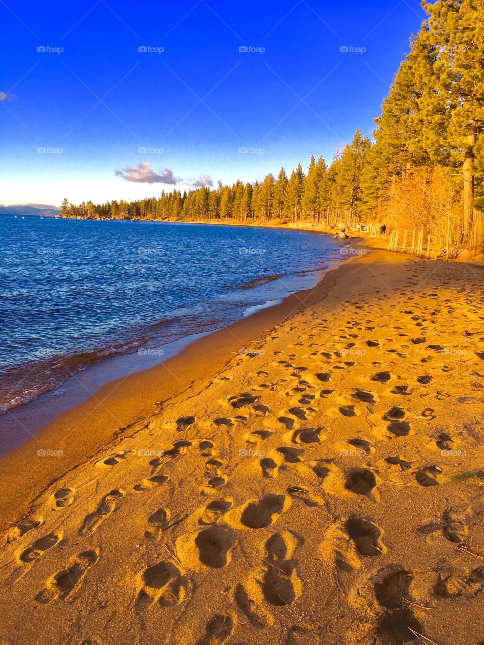 A walk on Lake Tahoe’s beach 