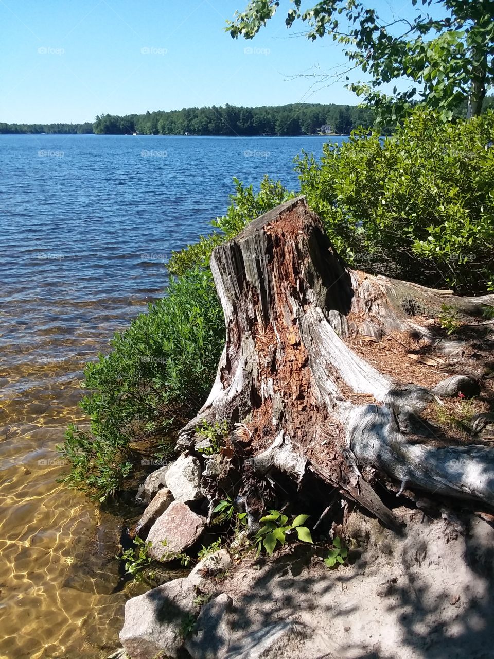 water view