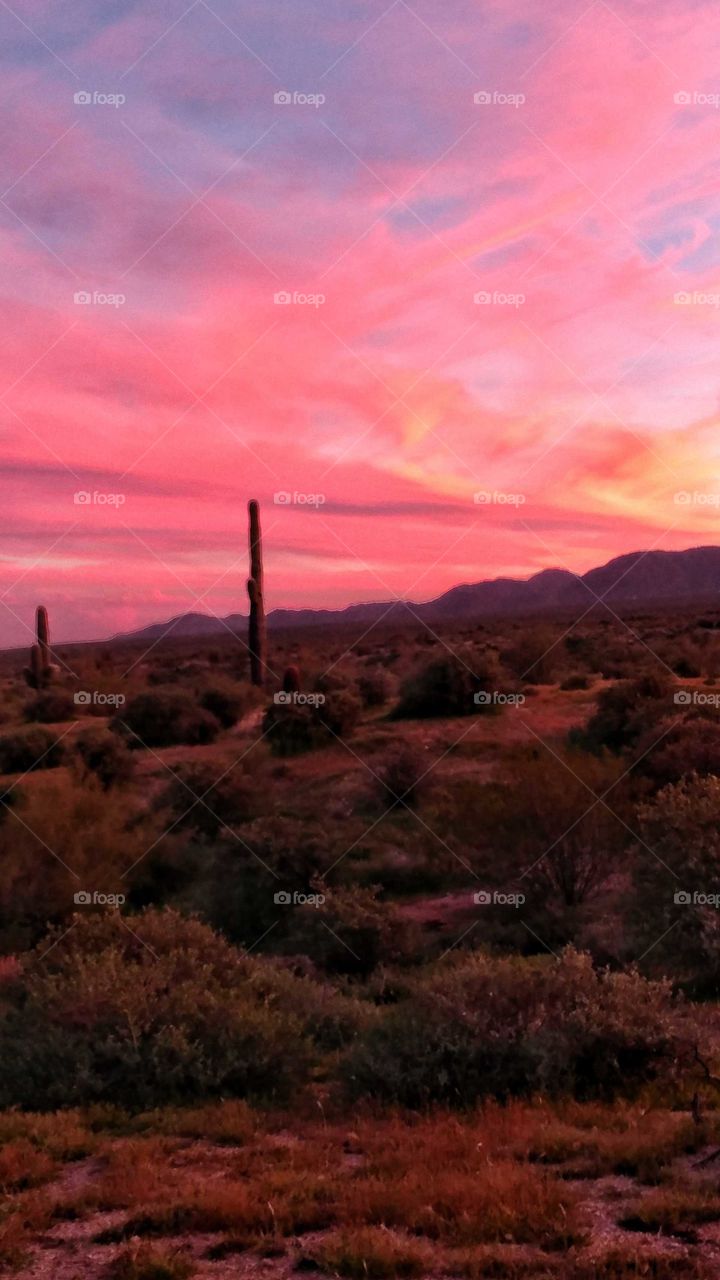 Witnessing the desert wrapped in hues of pink at sunset.