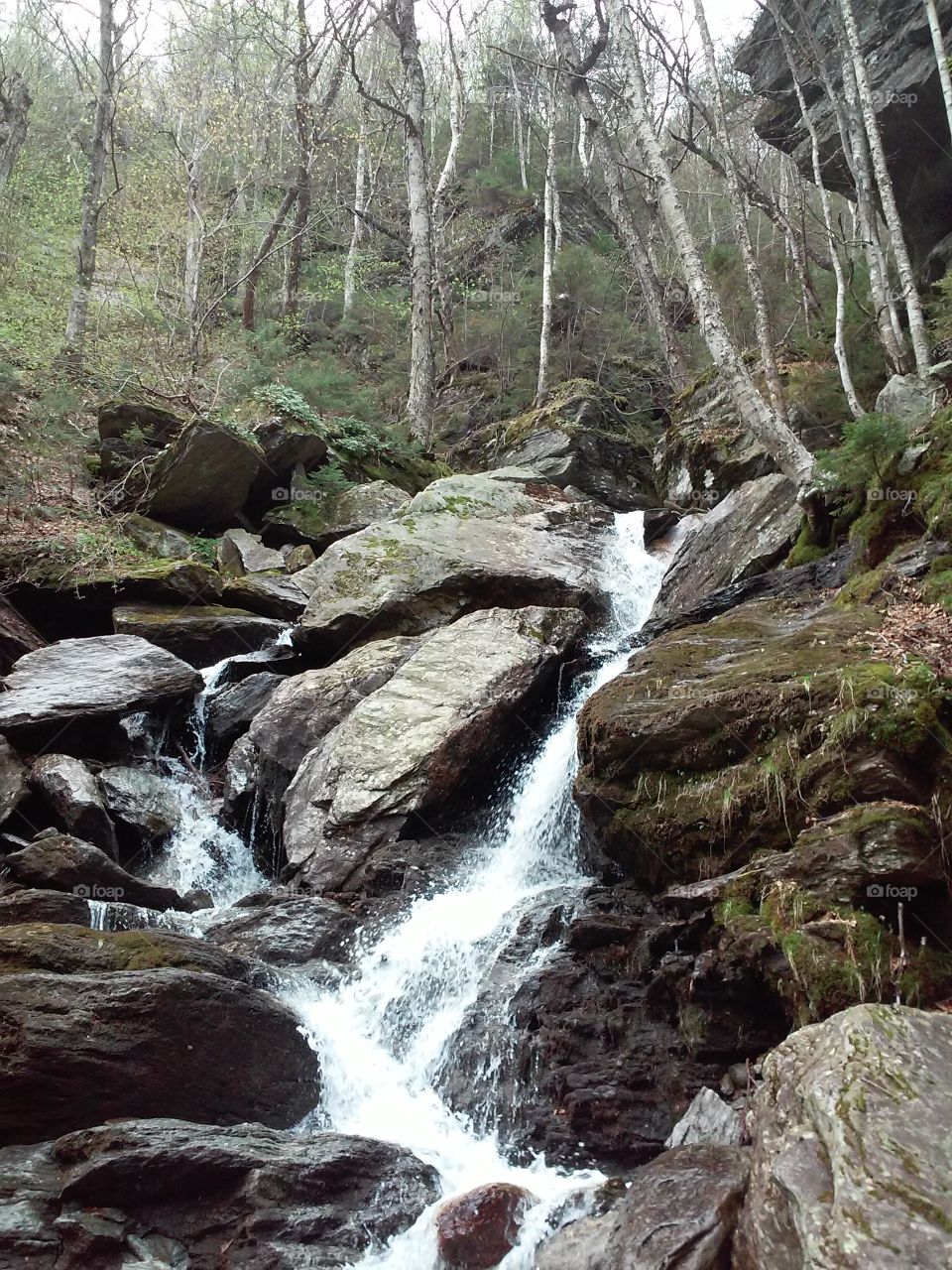 Beautiful rushing waterfall deep in the woods of Mount Hunger, Vermont [original photo].