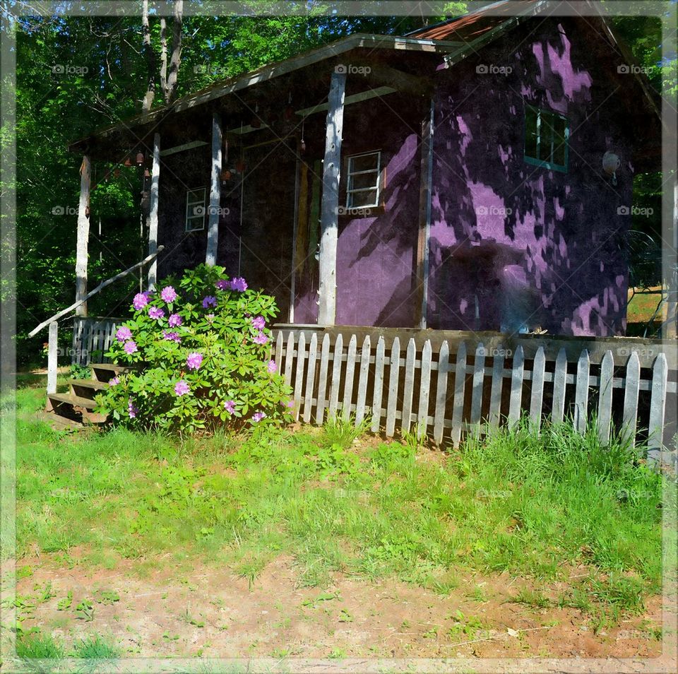 little purple cabin