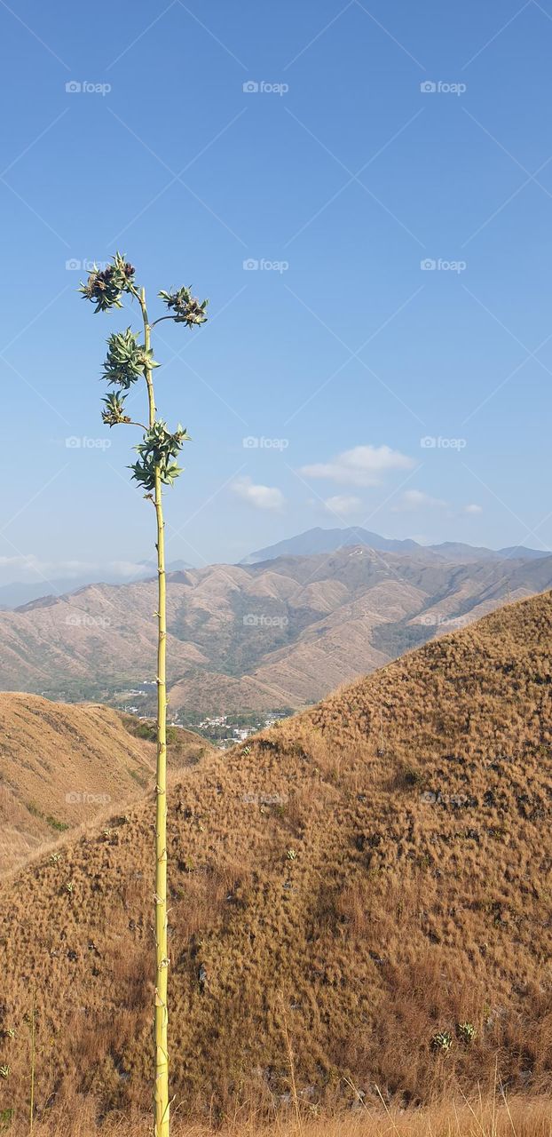 mountains of beautiful color and splendid beauty.  brown, sky blue