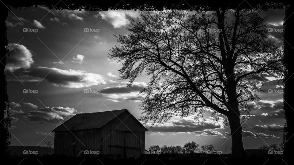 A Very Windy Cold Rainy Spring Day