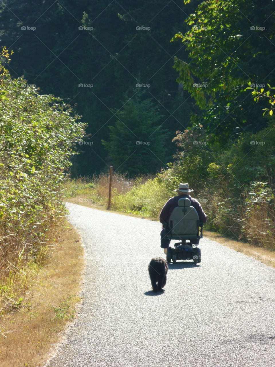 Elderly man in wheelchair on outing with his dog.