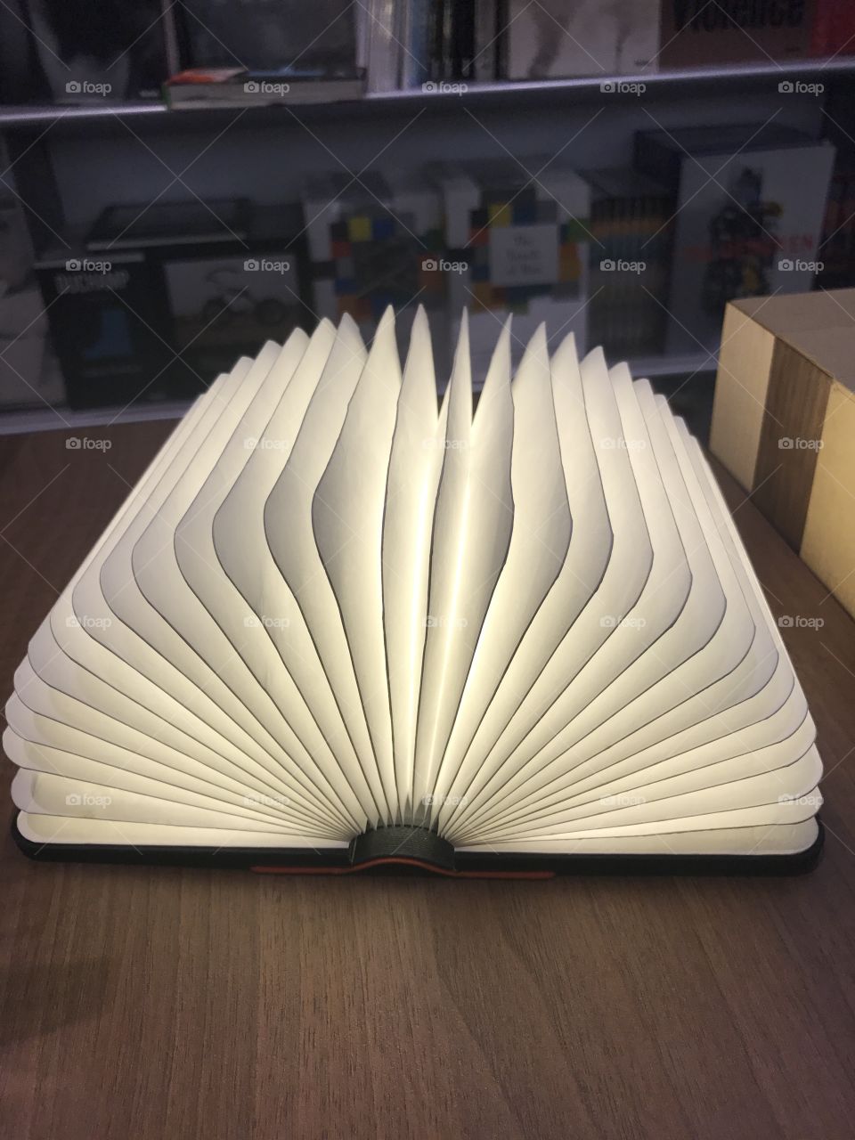 Book light