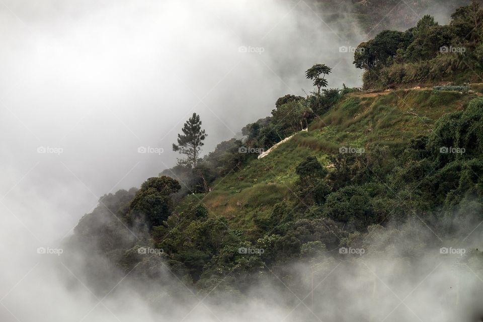 Foggy mountain