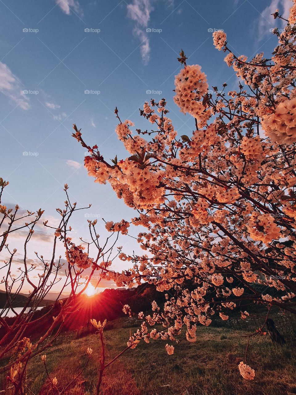 Dare to be different.  Each color in this photo will be experienced differently by each of us.  How beautiful life is.  Is it?