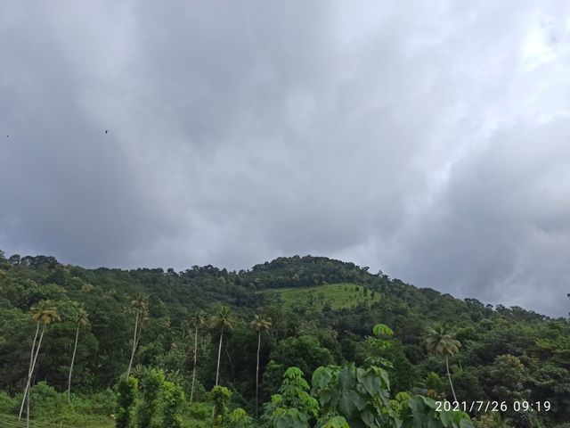 nature