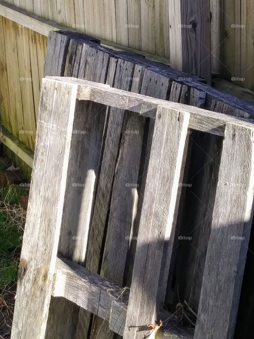 sunlight on pallets