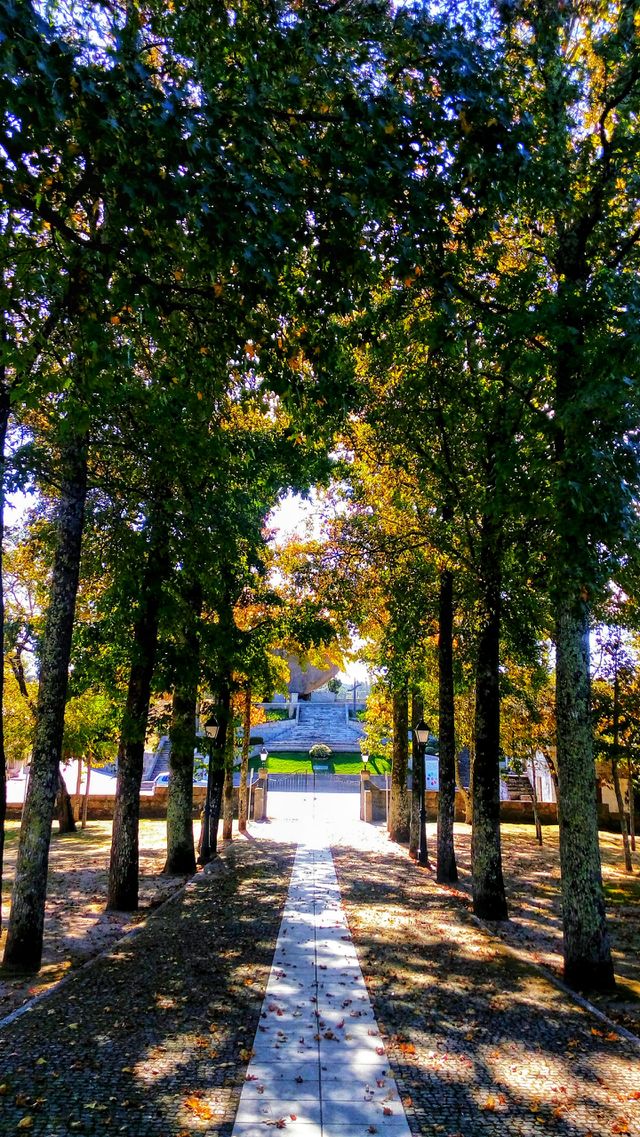 First signs of Autumn