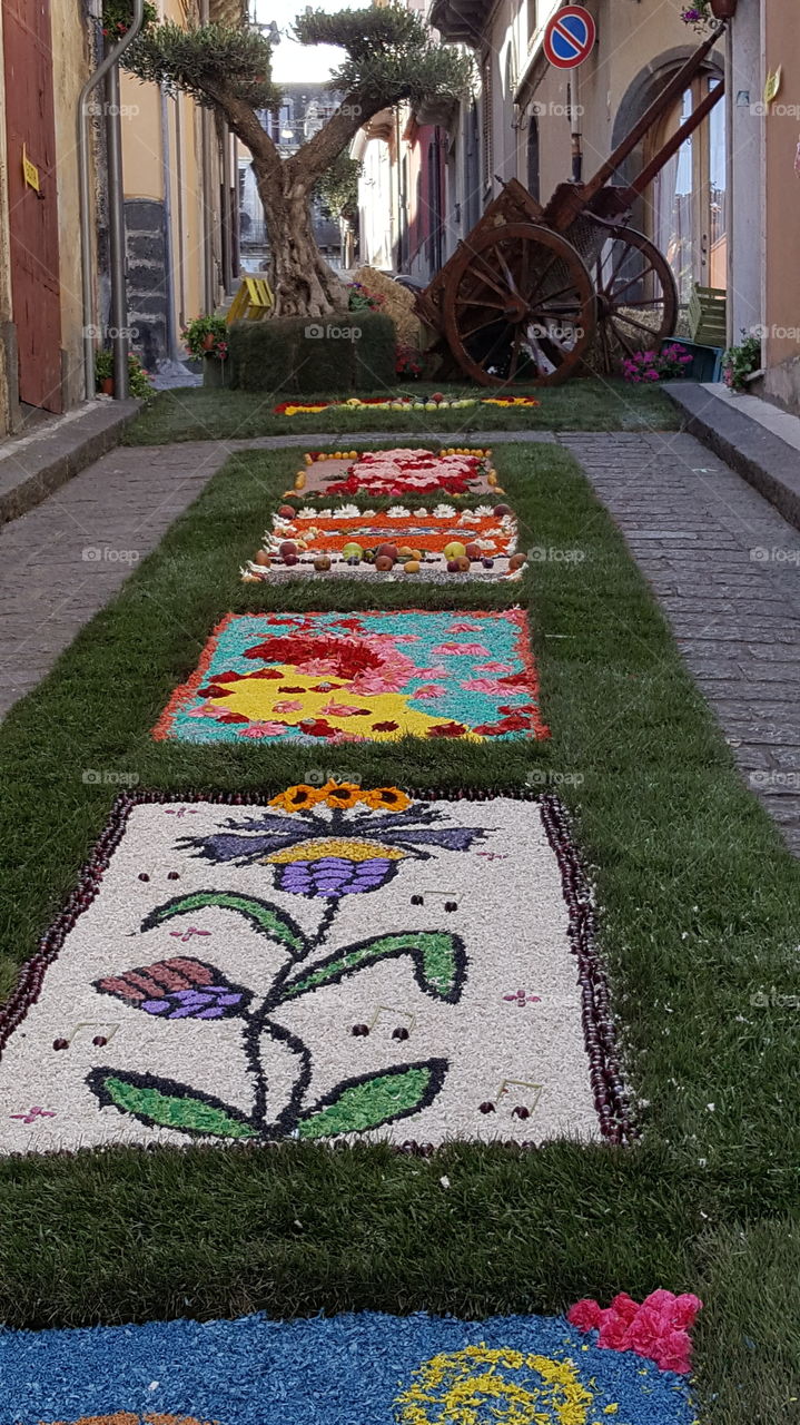 infiorata tra fiori e frutta a Sant'Alfio (CT)
