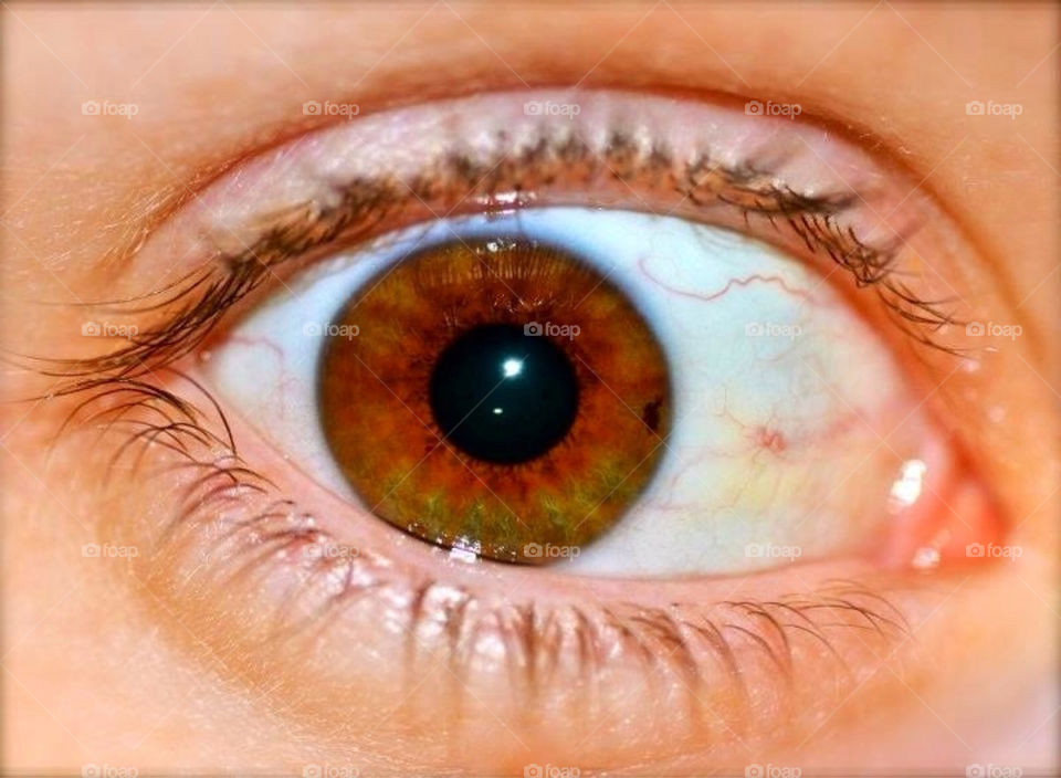 macro eye brown makro by paula