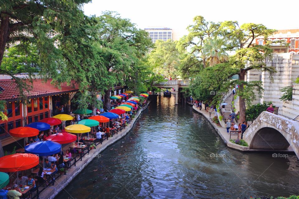 Water, Tourism, Travel, Canal, Tree