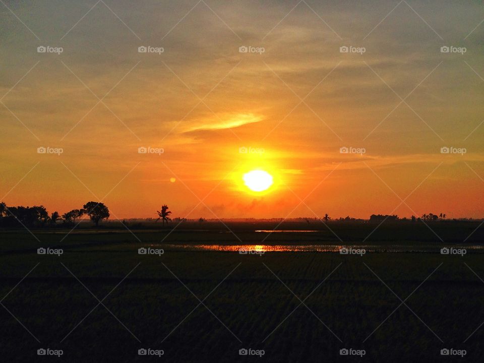 Dark field sunset