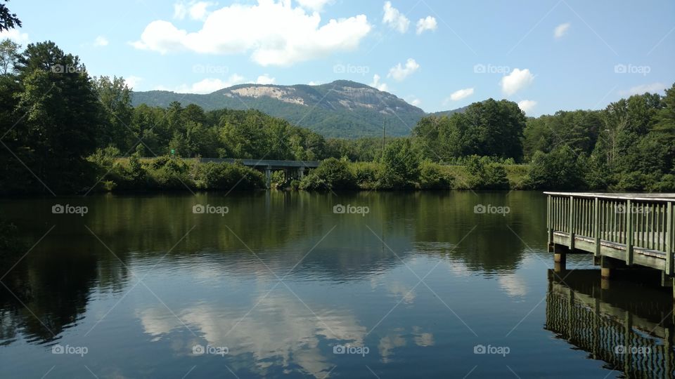 Lake, Water, Reflection, No Person, Tree