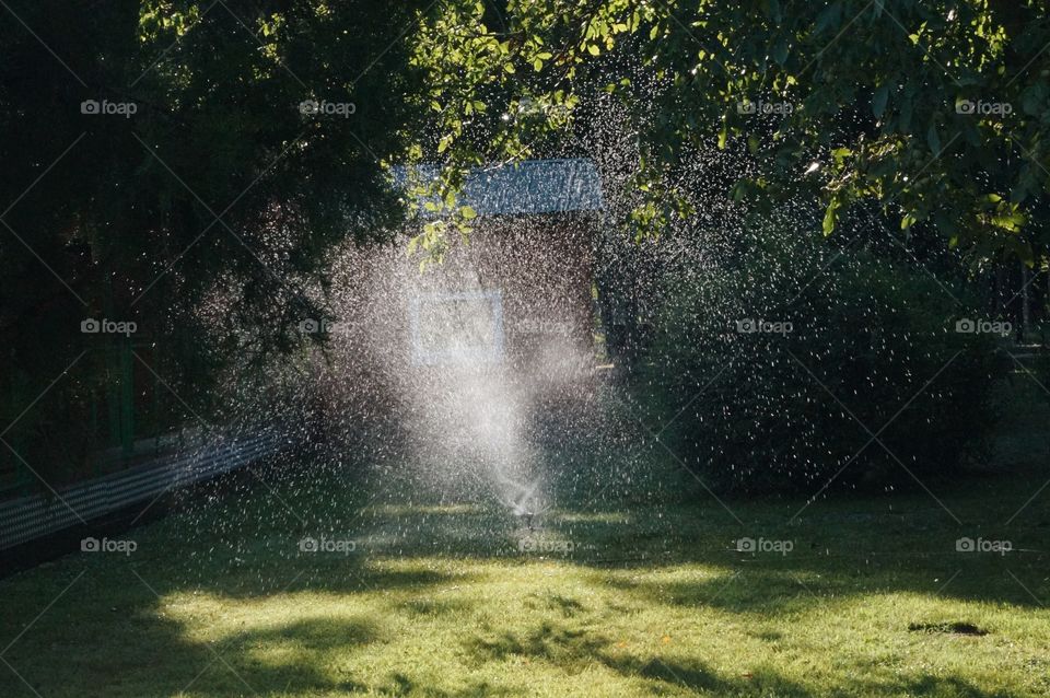 Watering 