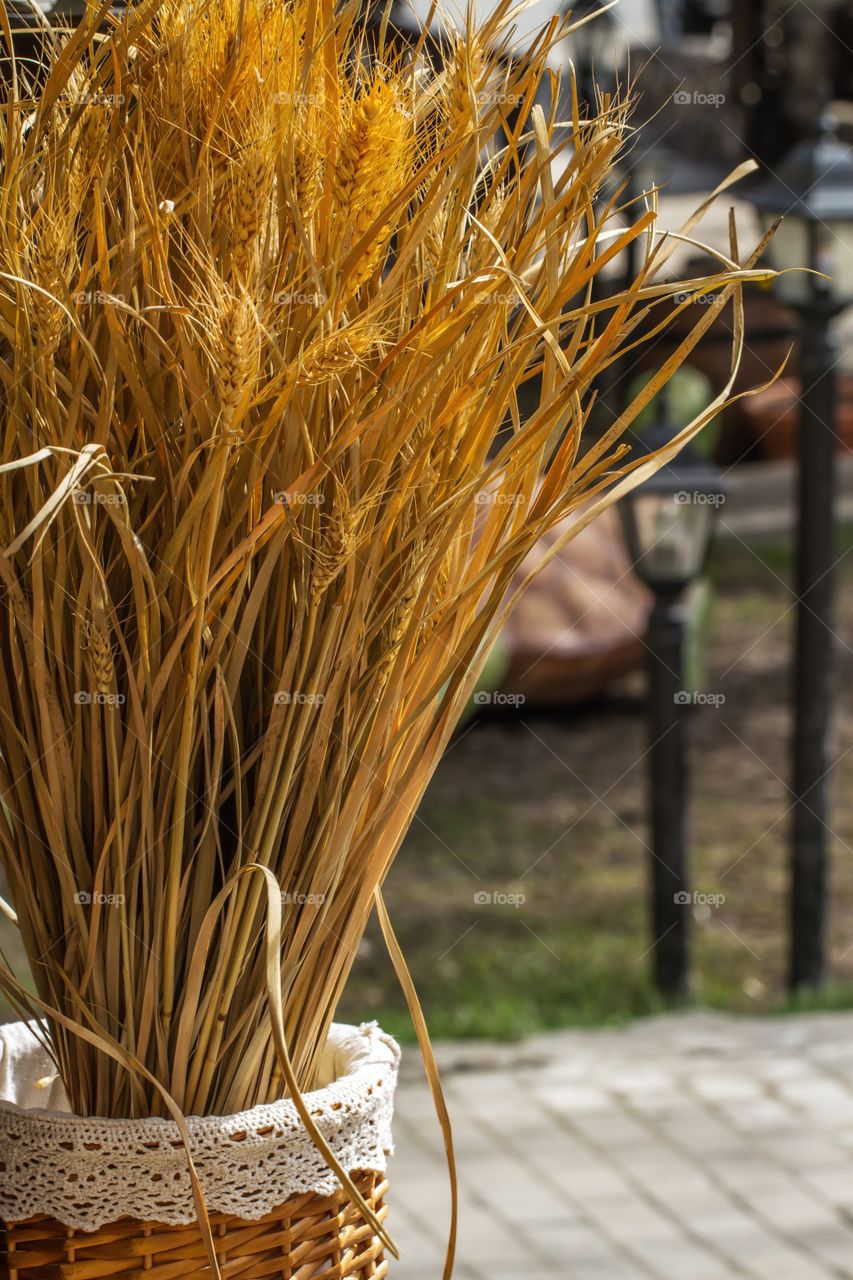 Wheat in the basket