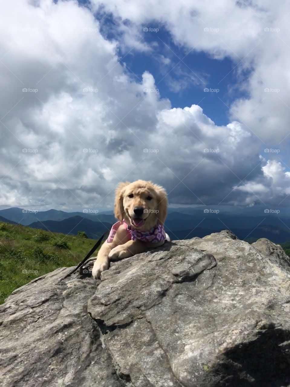 First time hiking 