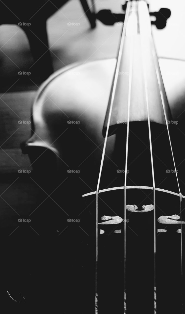 Detail of a violin in monochrome